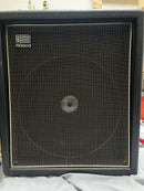 Roland Bass Amps Cb-40 Vintage Combo
