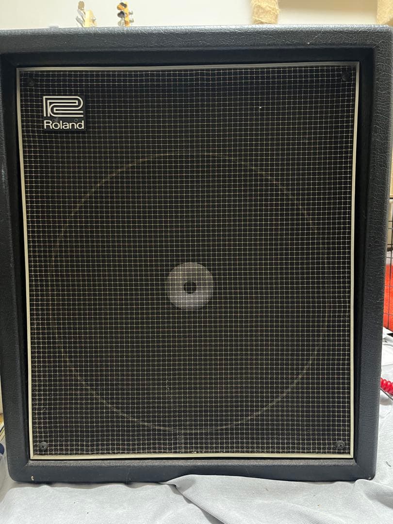 Roland Bass Amps Cb-40 Vintage Combo