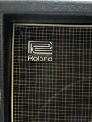 Roland Bass Amps Cb-40 Vintage Combo