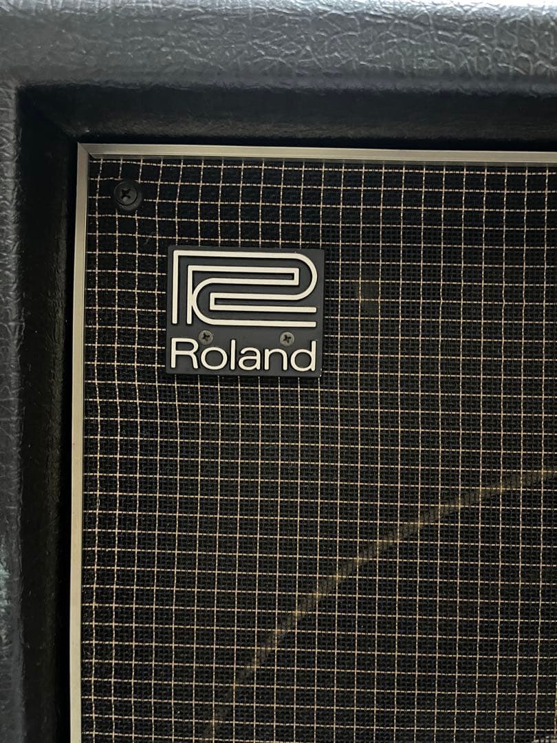 Roland Bass Amps Cb-40 Vintage Combo
