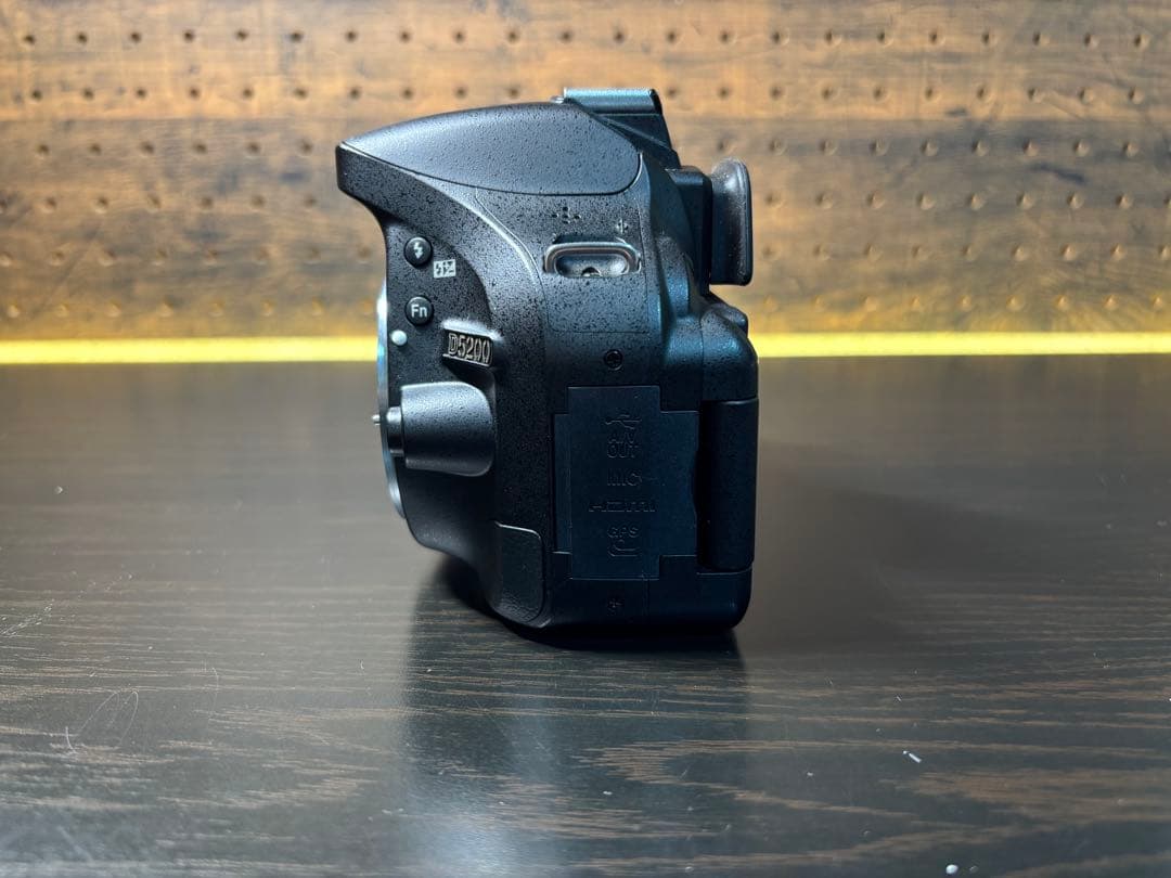 Nikon Digital Slrs