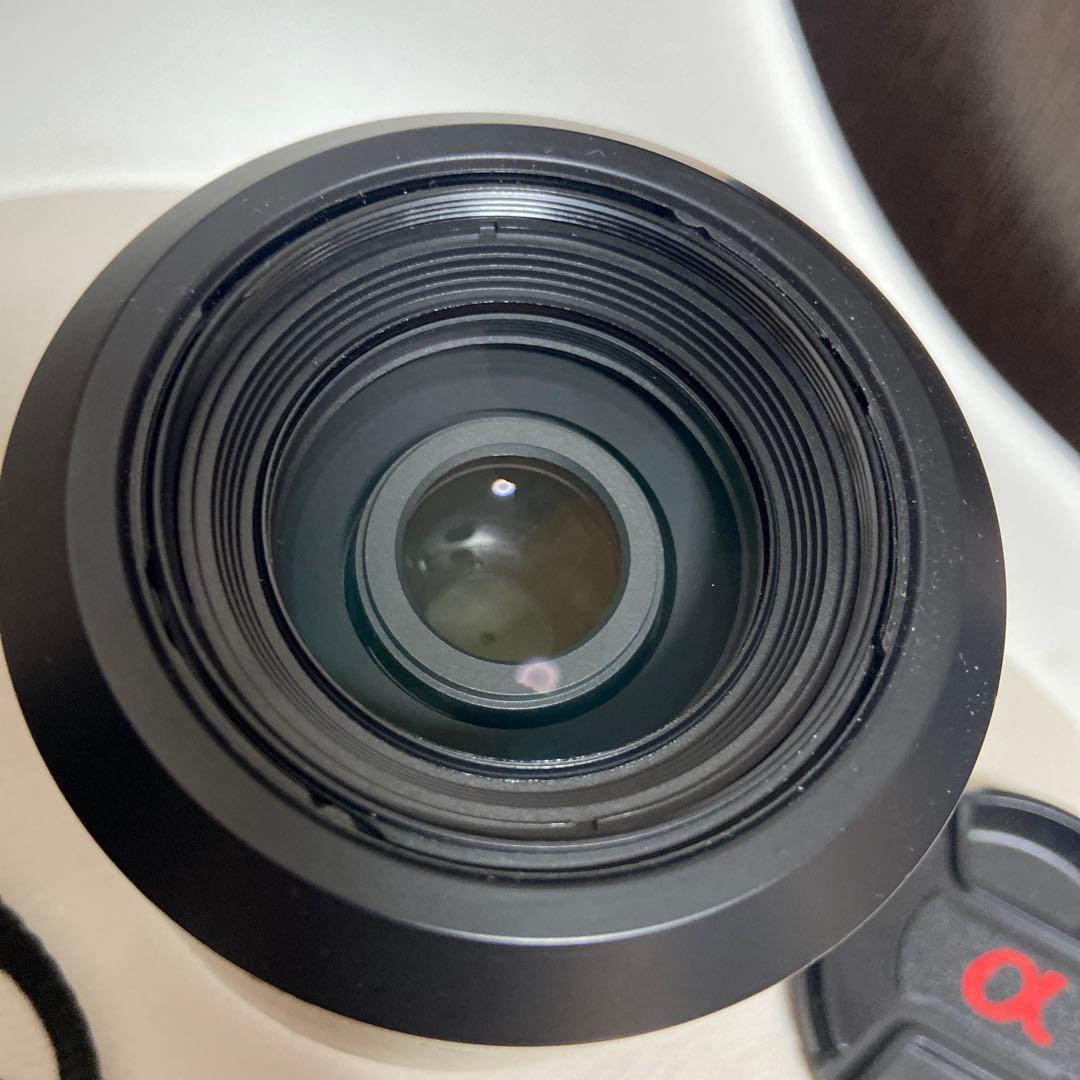 Sony Digital Slrs 55