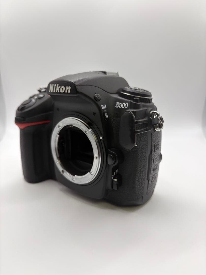 Digital Slrs Nikon D300