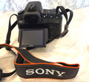 Sony Digital Slr 350 (18-200Mm)