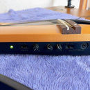 Yamaha Acoustic Guitars Slg-100S