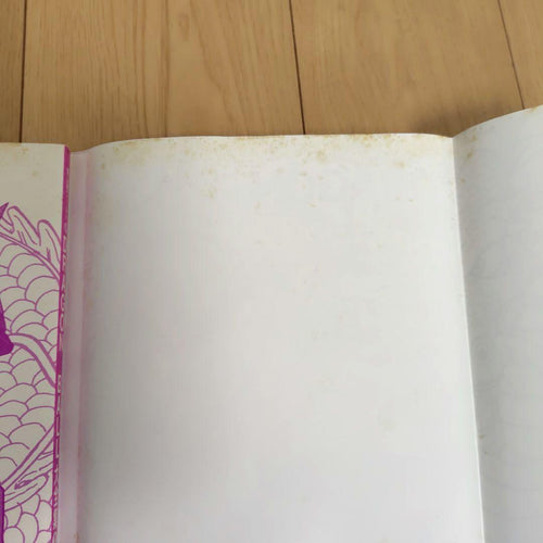 Illustration Collections Dragon Ball Part2
