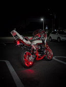 Yamaha Motorcycle Body Xjr Cbx