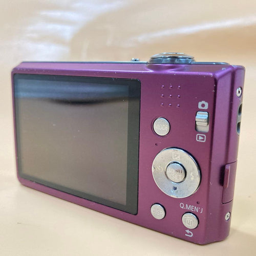 Panasonic Compact Digital Cameras Lumix Dmc-Fh5