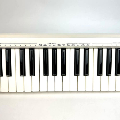 Roland Midi Keyboards Pads A-49 49