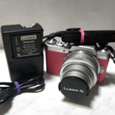 Panasonic Mirrorless Interchangeable Lens Cameras Lumix G