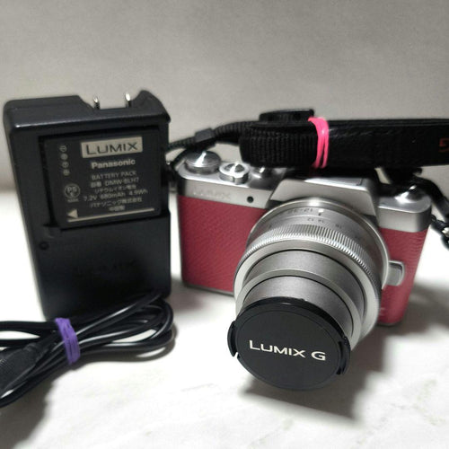 Panasonic Mirrorless Interchangeable Lens Cameras Lumix G