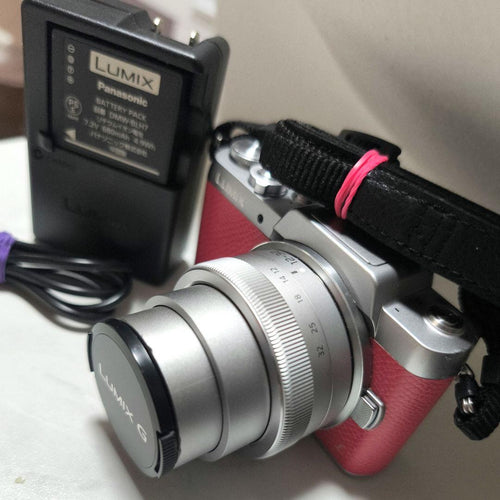 Panasonic Mirrorless Interchangeable Lens Cameras Lumix G