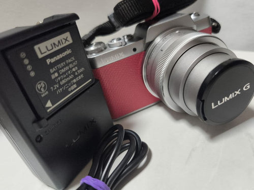 Panasonic Mirrorless Interchangeable Lens Cameras Lumix G
