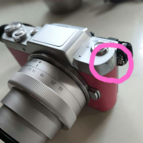 Panasonic Mirrorless Interchangeable Lens Cameras Lumix G