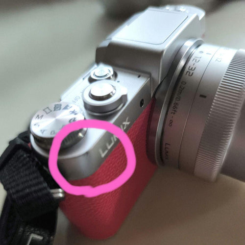 Panasonic Mirrorless Interchangeable Lens Cameras Lumix G