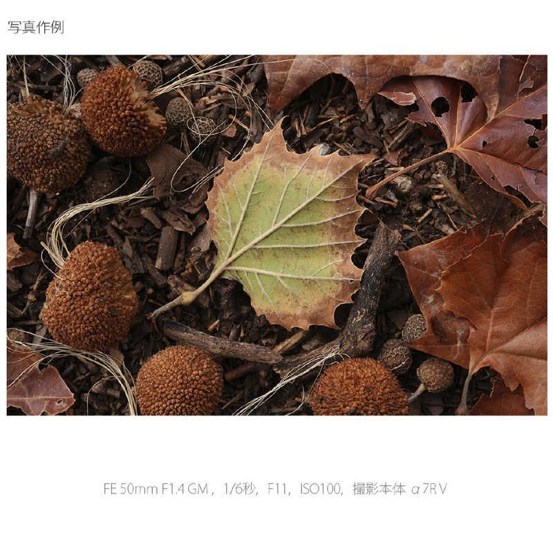 Sony Others Fe F1.4 Gm E Sel50F14Gm