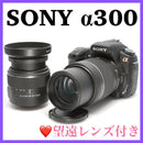 Sony Digital Slr 300