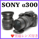 Sony Digital Slr 300