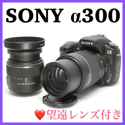 Sony Digital Slr 300