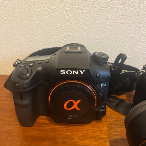 Sony Mirrorless Interchangeable Lens Cameras 99Ii 7