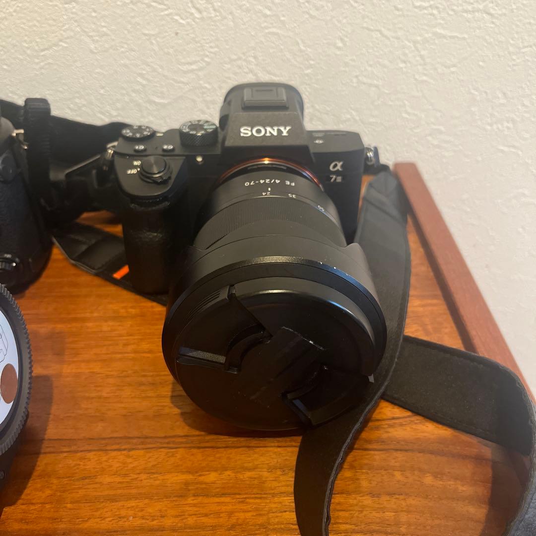 Sony Mirrorless Interchangeable Lens Cameras 99Ii 7