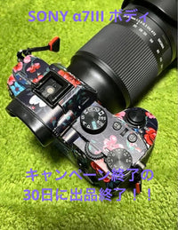 Sony Mirrorless Interchangeable Lens Cameras 7Iii [Ilce-7M3]