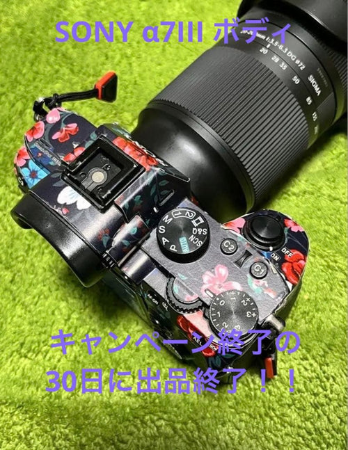 Sony Mirrorless Interchangeable Lens Cameras 7Iii [Ilce-7M3]