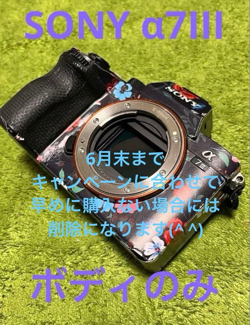 Sony Mirrorless Interchangeable Lens Cameras 7Iii [Ilce-7M3]