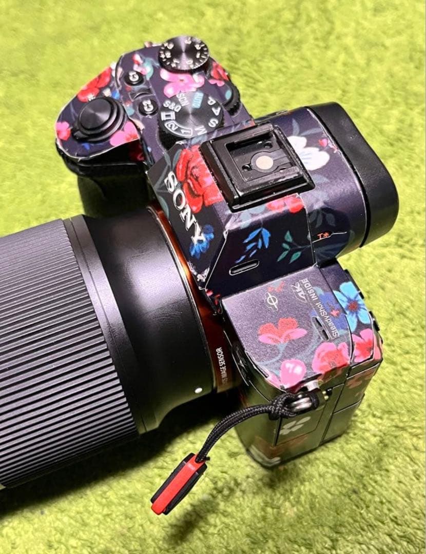 Sony Mirrorless Interchangeable Lens Cameras 7Iii [Ilce-7M3]
