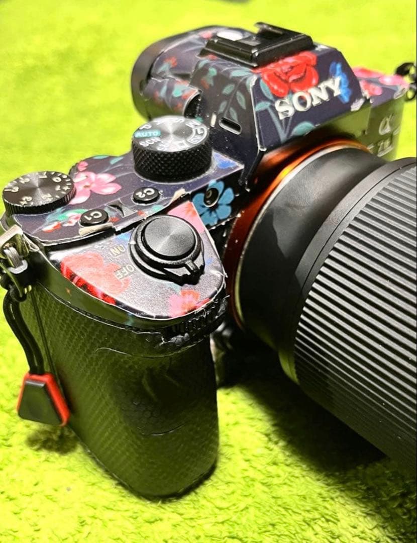 Sony Mirrorless Interchangeable Lens Cameras 7Iii [Ilce-7M3]