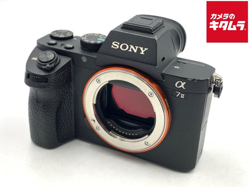 Mirrorless Interchangeable Lips 7Ii [Ilce-7M2]