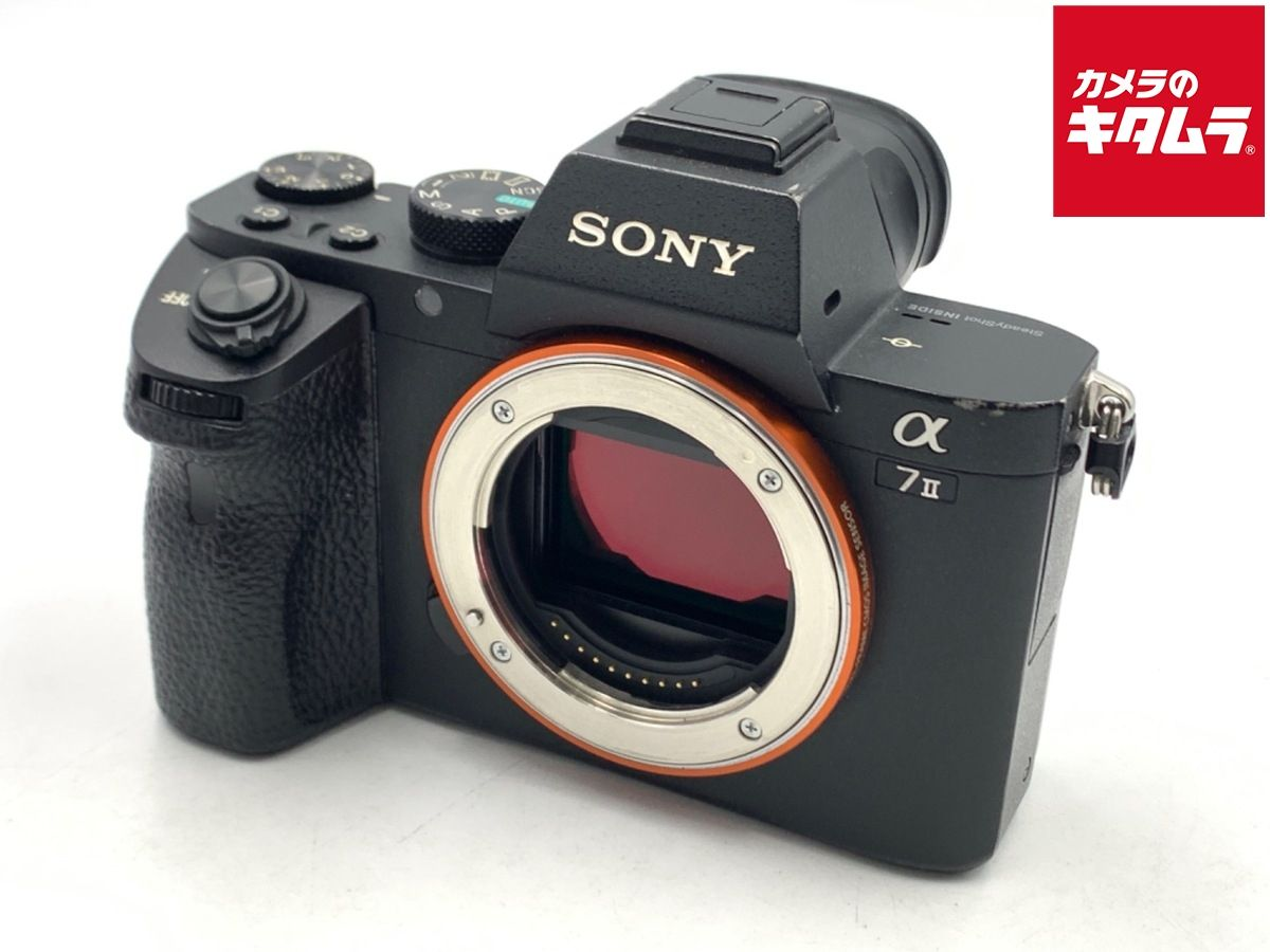 Mirrorless Interchangeable Lips 7Ii [Ilce-7M2]