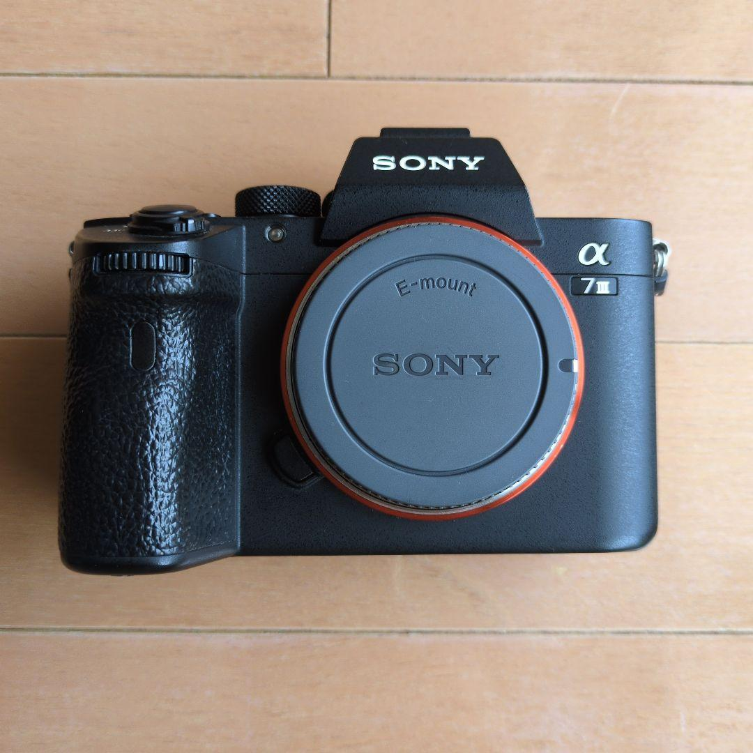 Sony Mirrorless Interchangeable Lips 7
