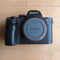 Sony Mirrorless Interchangeable Lips 7