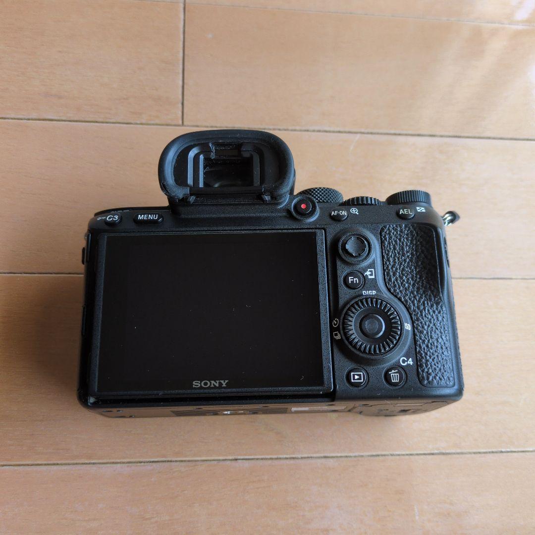 Sony Mirrorless Interchangeable Lips 7
