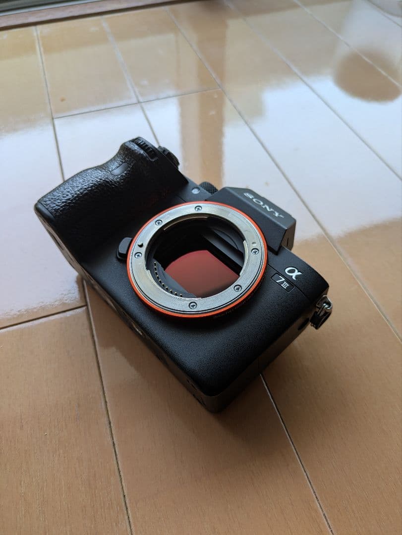 Sony Mirrorless Interchangeable Lips 7