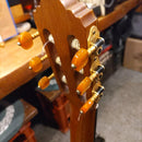 Yamaha Acoustic Guitar Cg-Bn1