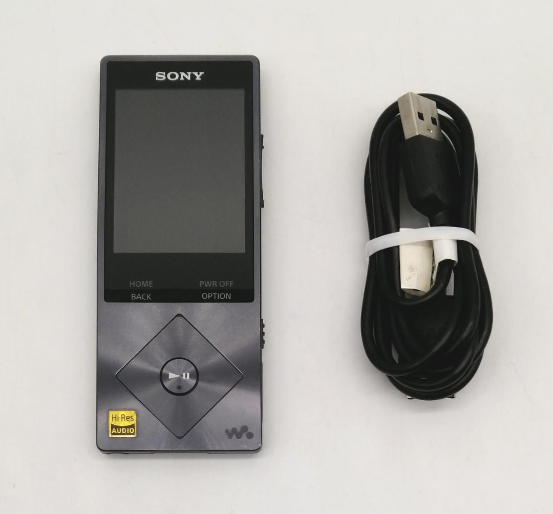 Digital Audio Player Sony A20 Nw-A25 Bm