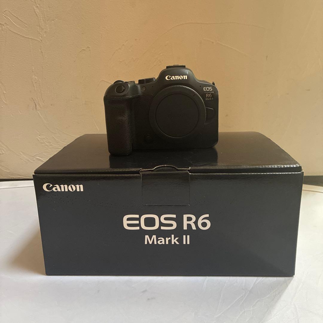 Canon Mirrorless Interchangeable Lens Cameras Eos R6 Mark Ii