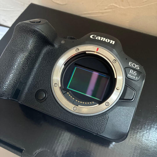 Canon Mirrorless Interchangeable Lens Cameras Eos R6 Mark Ii