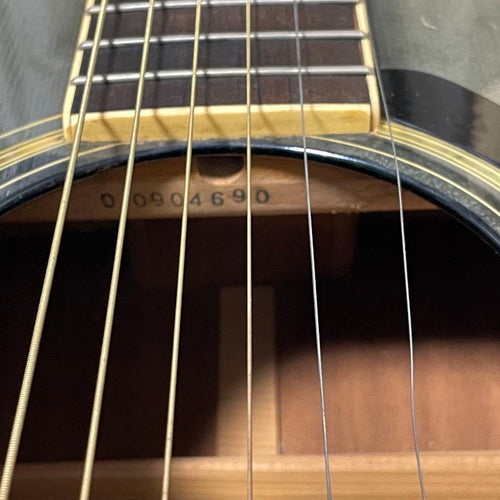 Acoustic Guitars Yamaha Dw-8 Bl
