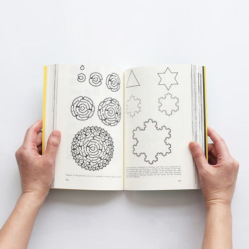 Art Design Music 1 And Visual Communication By Bruno Munari[