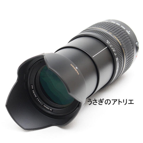 Canon Lens (Zoom) 28-300Mm Eos Kiss