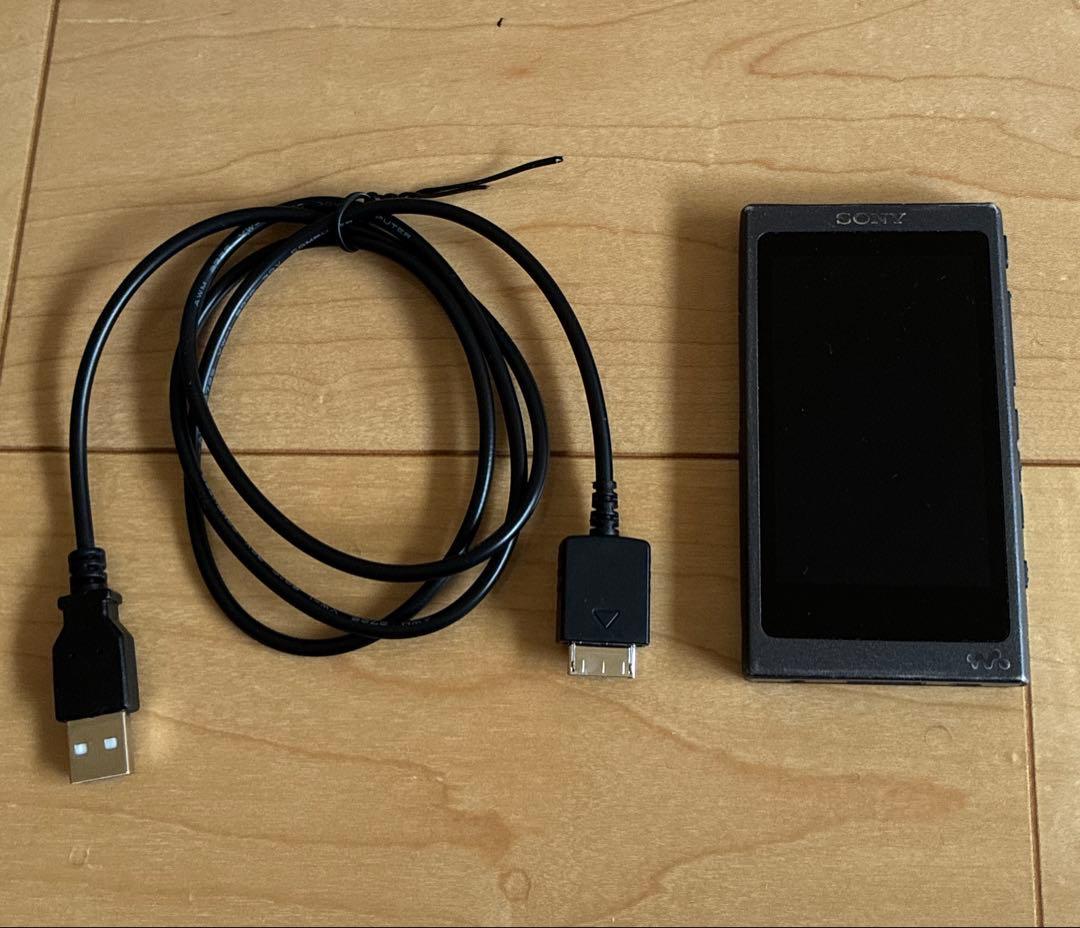 Sony Digital Audio Player Walkman Nw-A30