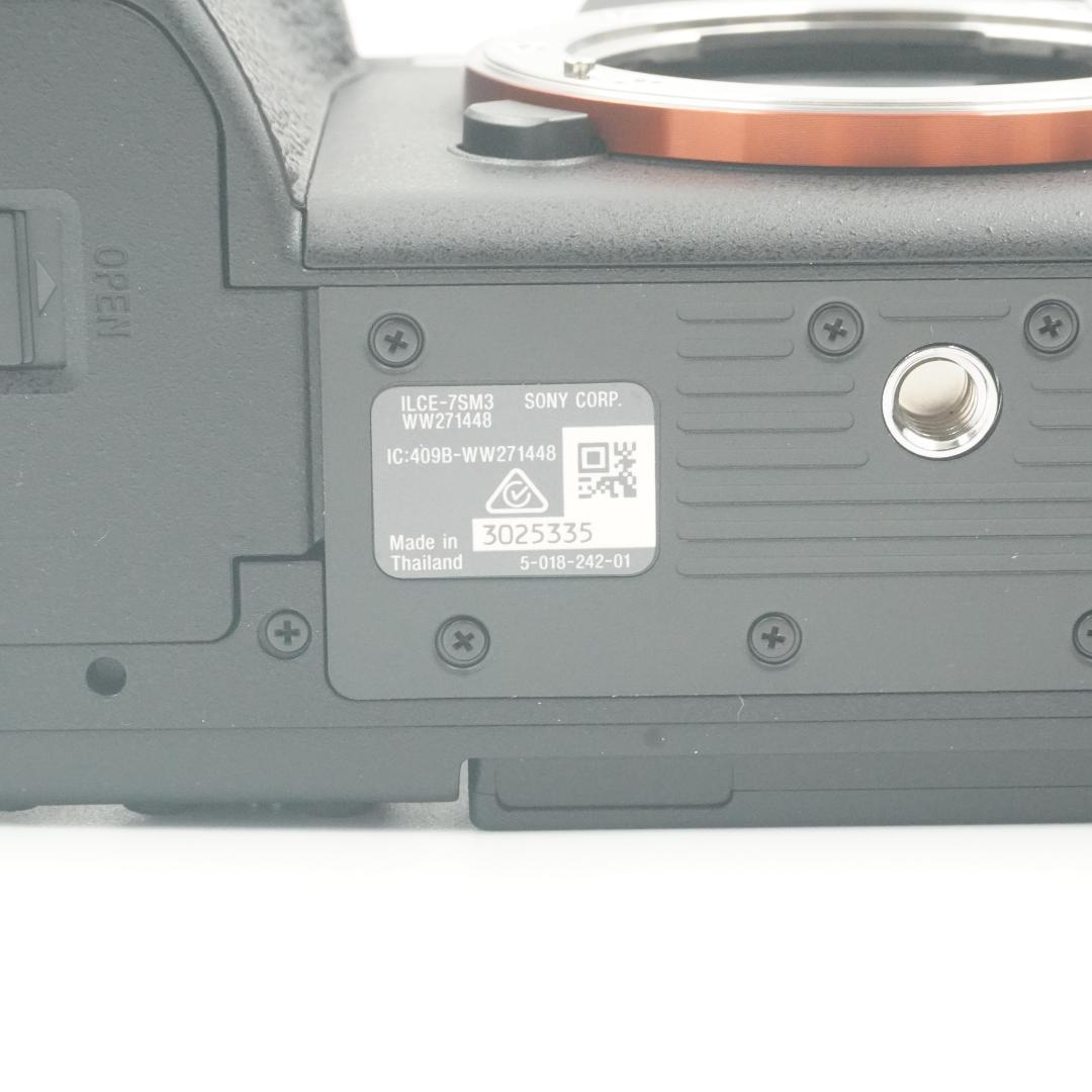 Mirrorless Interchangeable Lens Cameras Sony 7Siii #..538