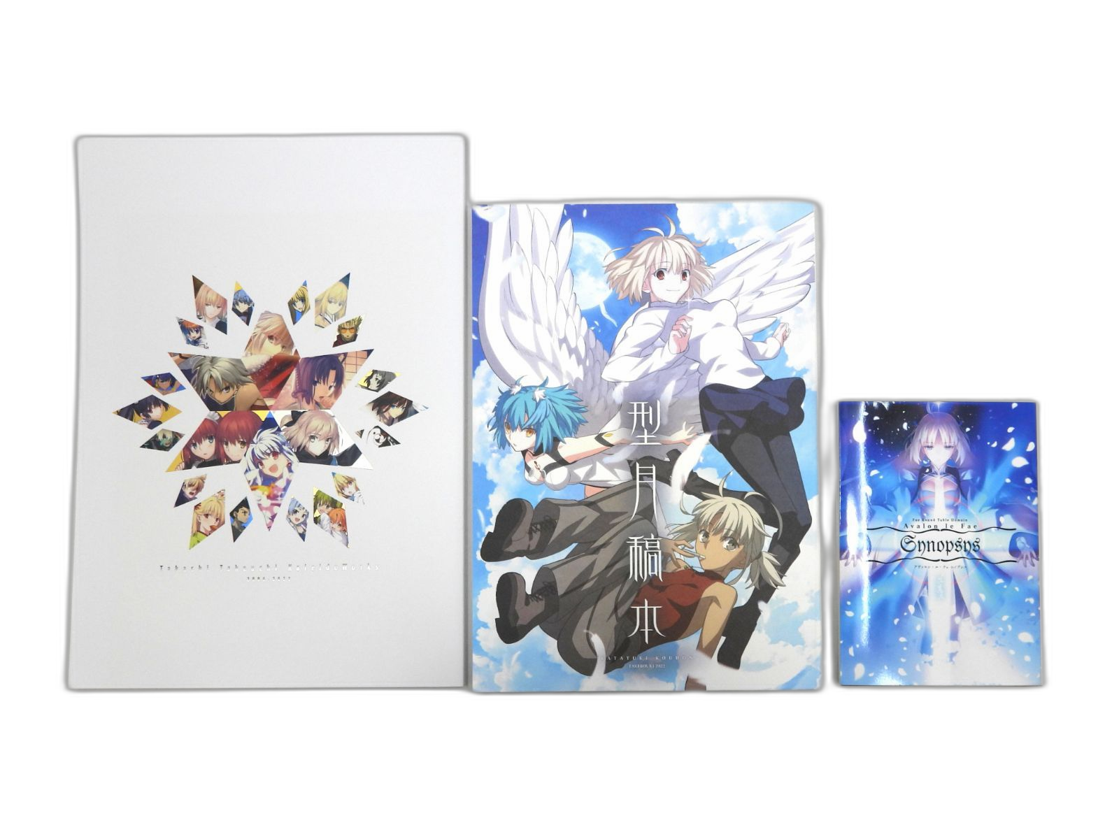 Illustrations 3 Type-Moon C100 (006)