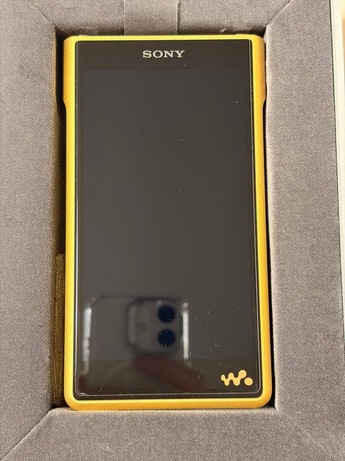 Sony Digital Audio Player Nw-Wm1Zm2 Walkman 2025 9