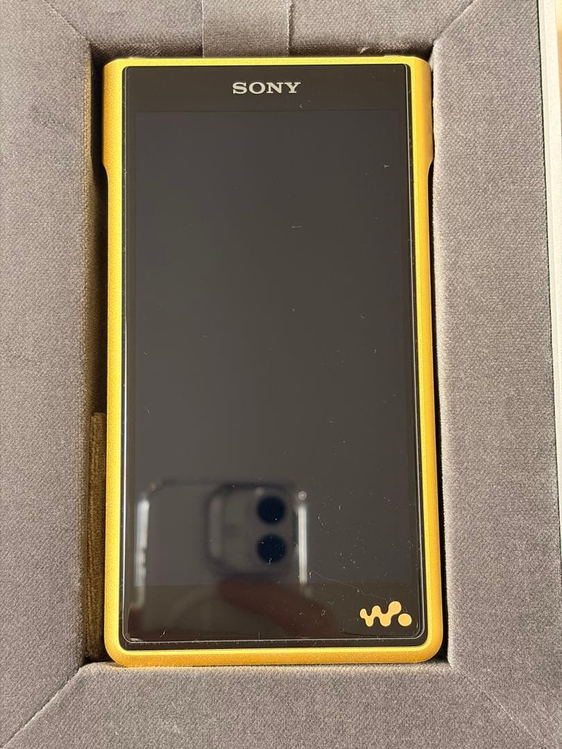 Sony Digital Audio Player Nw-Wm1Zm2 Walkman 2025 9