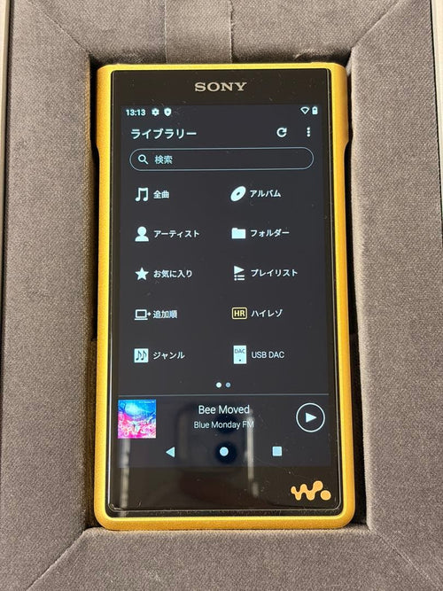 Sony Digital Audio Player Nw-Wm1Zm2 Walkman 2025 9