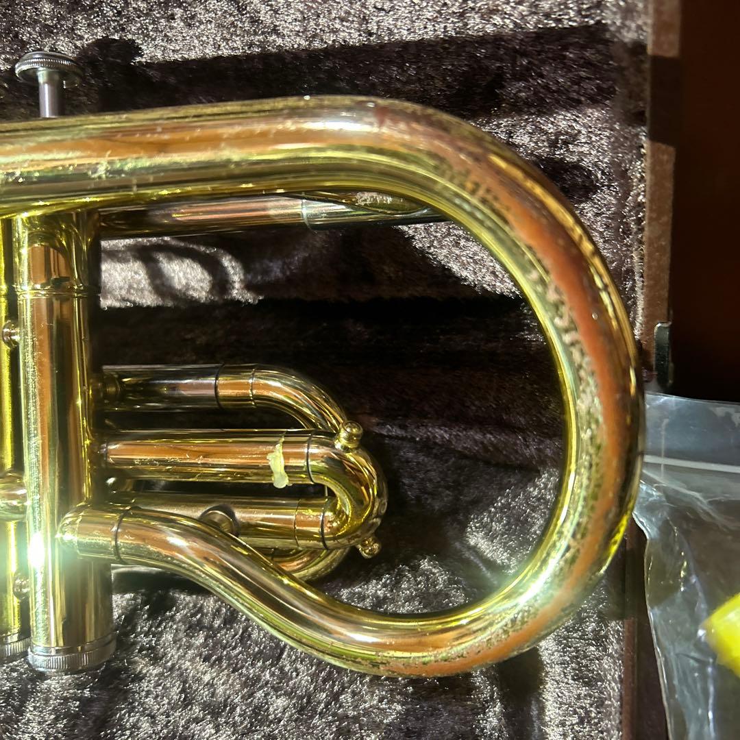 Cornets
